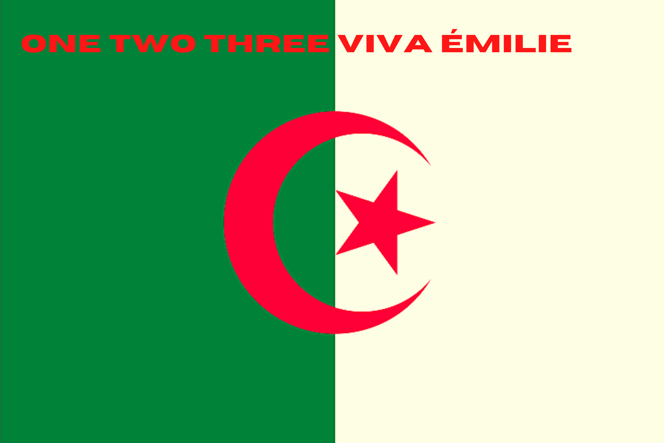 Drapeau Algérien Emilie Busquant 123 Viva Emilie