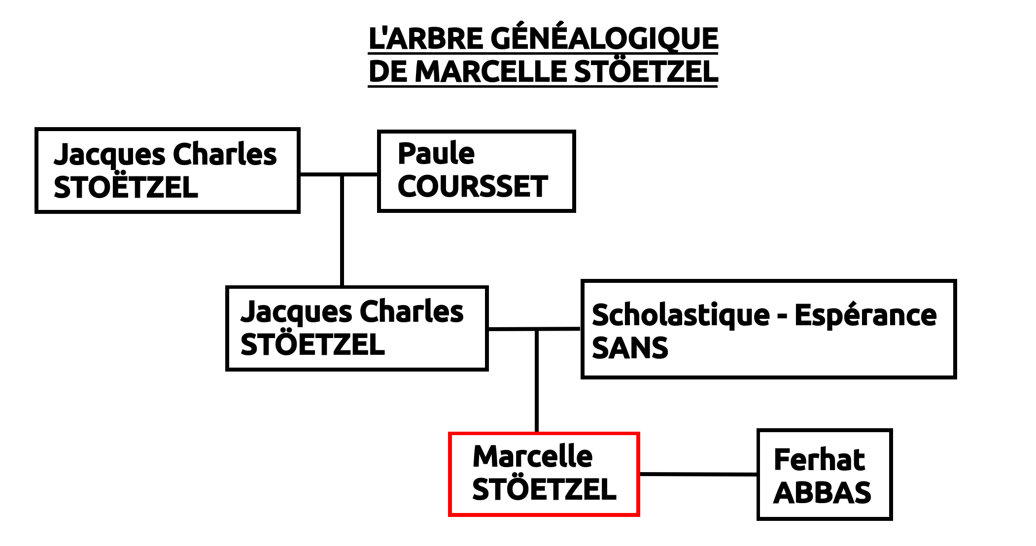 Arbre Généalogique Marcelle Stoetzel Ferhat Abbas