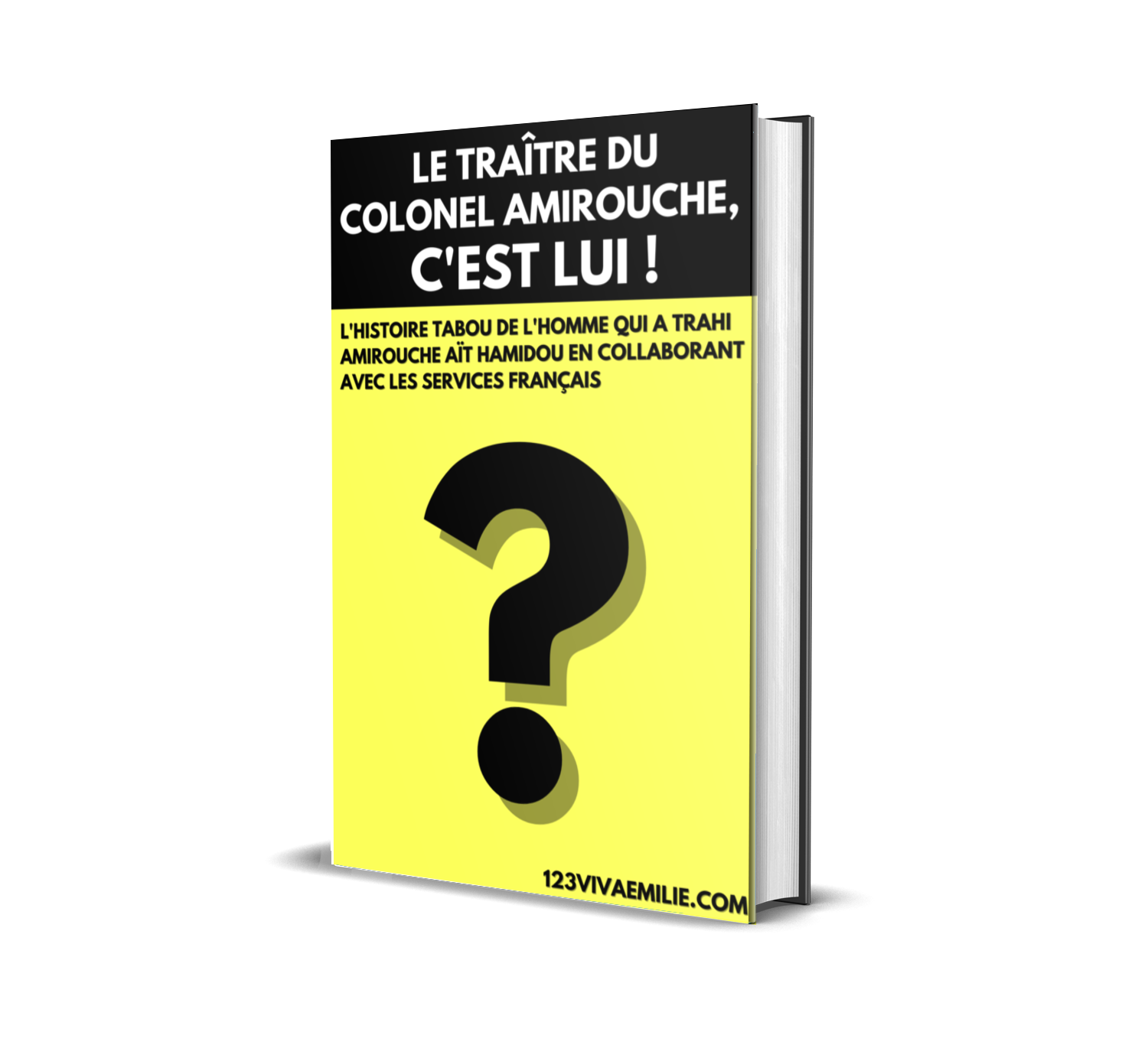 Livre qui révèle celui qui trahi le colonel Amirouche en 1959