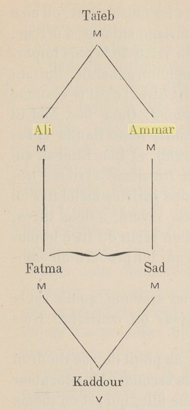 La généalogie d'Ali Ammar